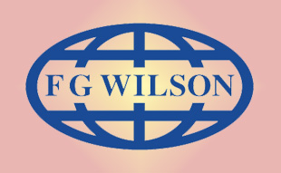 ✓ FG-Wilson SE551C/4 Фильтр воздушный 