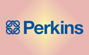✓ Perkins SE551C/4 Фильтр воздушный 